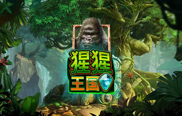 澳门金沙网址多少